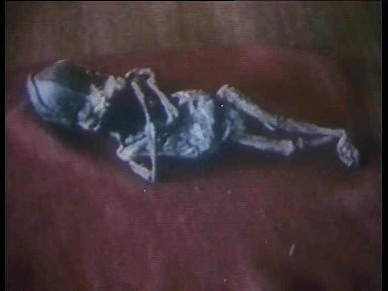 Моя Вселенная