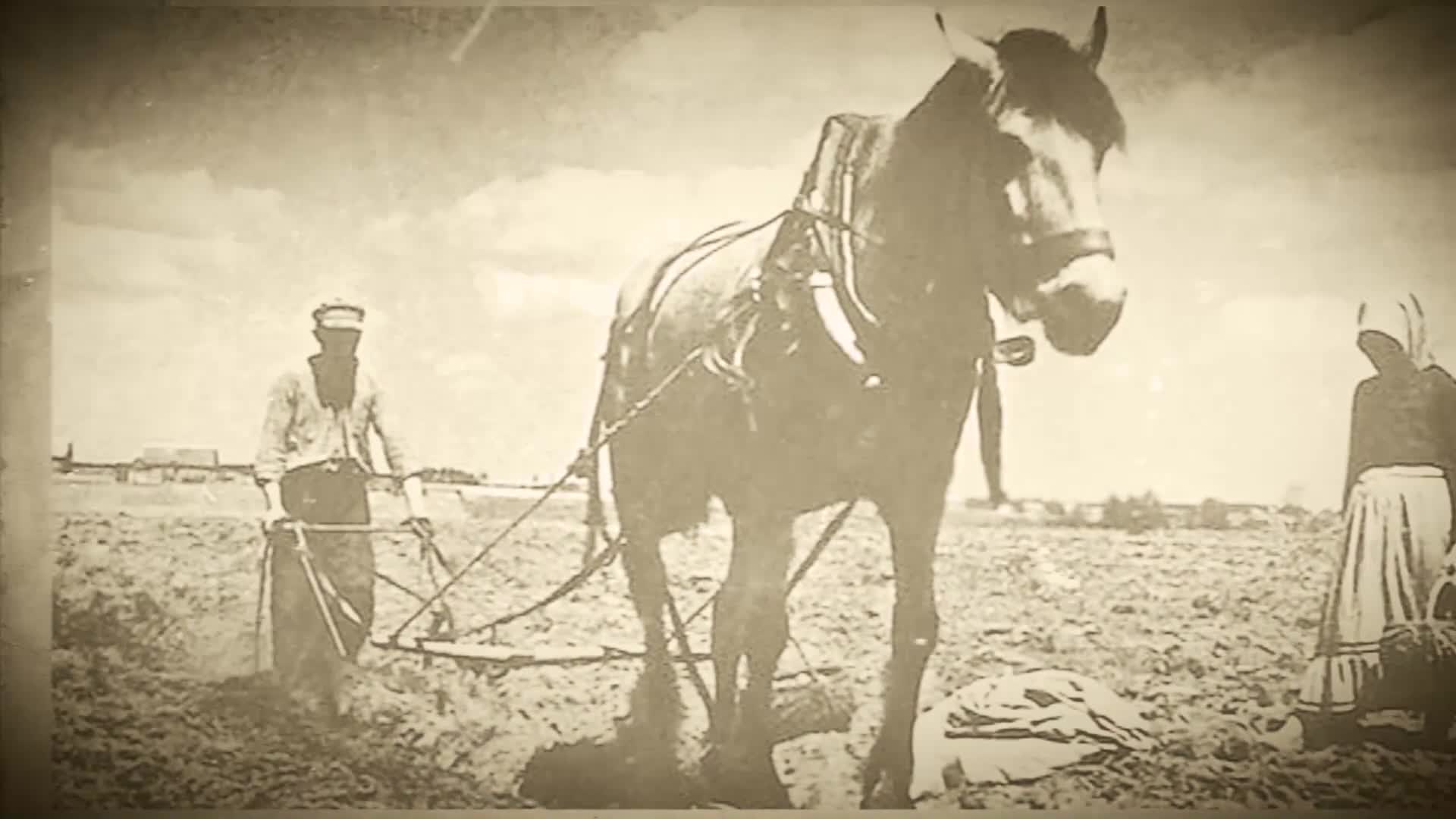 Энтузиасты из Большой Дергуновки